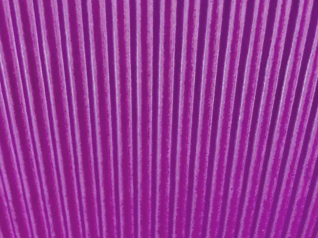 紫 風水では美しさ 気高さを高める紫 意味 効果 アイテムをご紹介 Nihonail ニホネイル