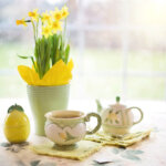 daffodils-1316127_1920