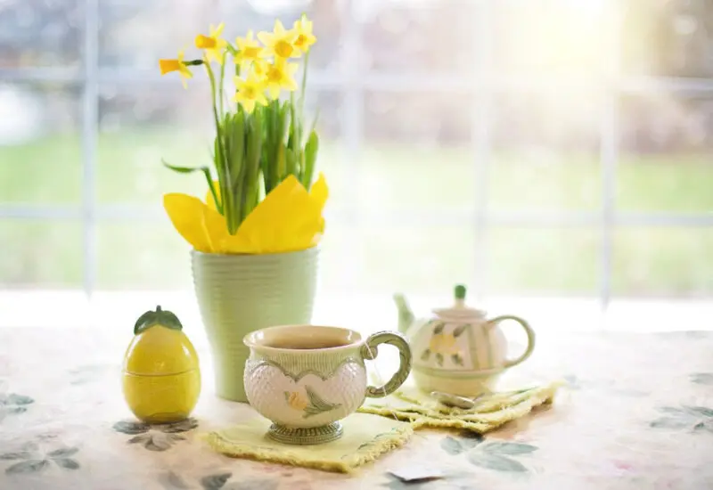 daffodils-1316127_1920
