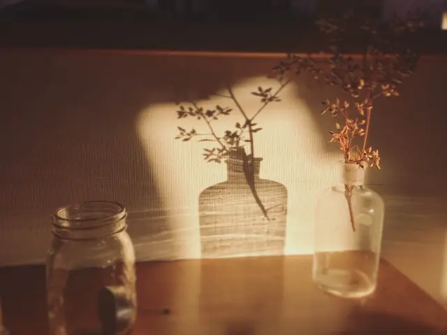 陽に当たったドライフラワー