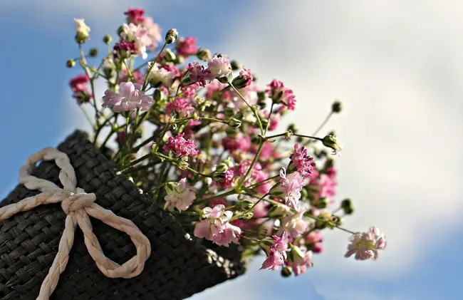 花言葉で感謝を伝えよう 別れの季節におすすめの花を15選紹介 Nihonail ニホネイル